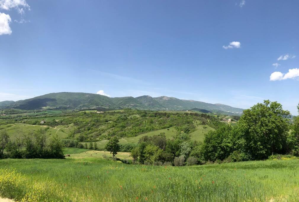 Casa Vacanze Vecchio Frantoio Residenza Leccino Spoleto Exterior photo