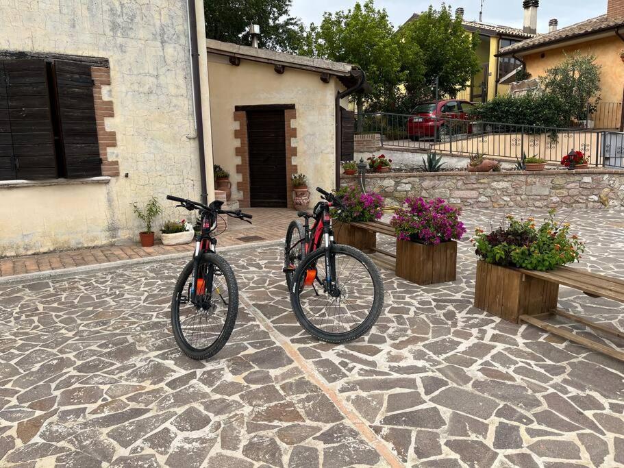 Casa Vacanze Vecchio Frantoio Residenza Leccino Spoleto Exterior photo